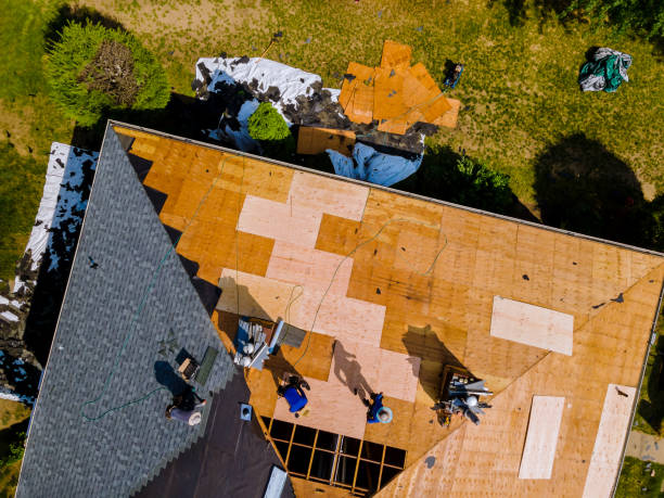 Best Gutter Installation and Roofing  in North Druid Hills, GA