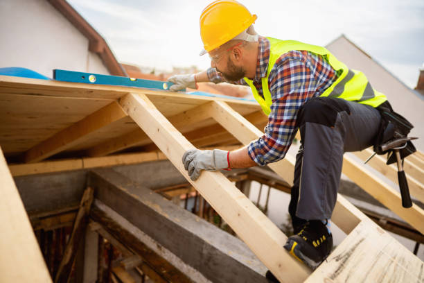 Best Roof Gutter Cleaning  in North Druid Hills, GA